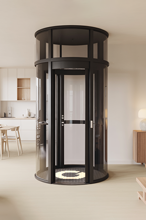 Brio Home Elevators